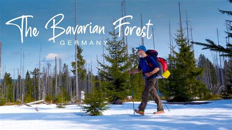 The Bavaria Forest | Winter Backpacking & Wild Camping Alone - YouTube