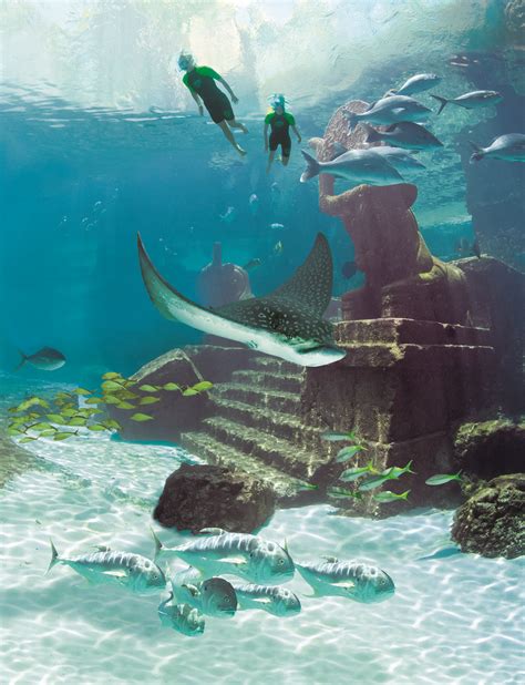 Snorkeling the Ruins at Atlantis, Paradise Island, Bahamas. | Bahamas travel, Places to travel ...