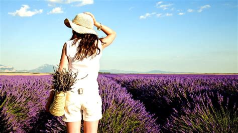 10 Enchanting Lavender Farms to Visit in the U.S.