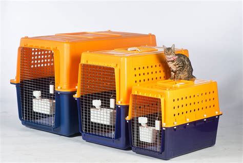 Pet Travel Crate Size Calculator - What Crate Do I Need?