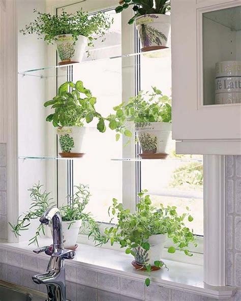 Pin by Terry Gilbert on Tips for Herb Gardens | Kitchen garden window, Herb garden in kitchen ...