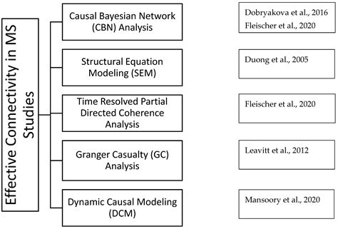 Brain Sciences | Free Full-Text | Graph-Based Analysis of Brain ...