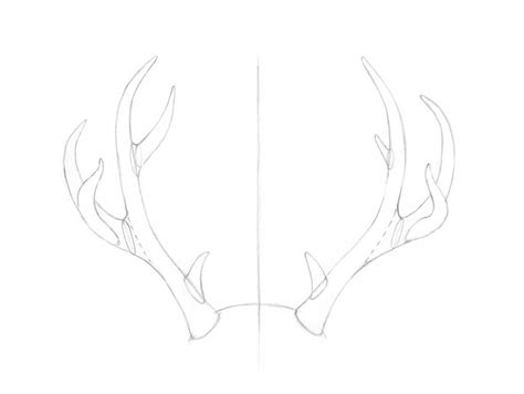 How to Draw Deer Antlers Step by Step | Envato Tuts+