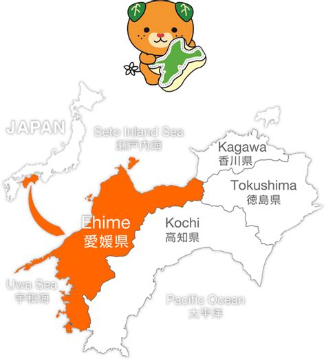 EHIME Introduction