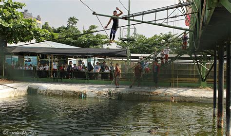 Crocodile Park Davao Tourist Spots