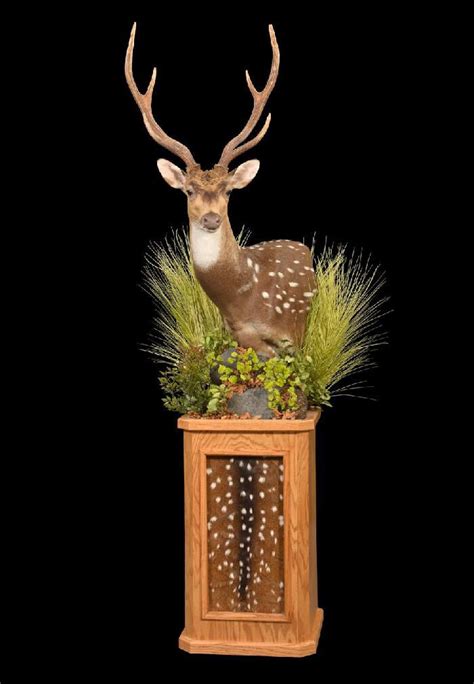 a deer head mounted on top of a wooden box with plants and grass in it