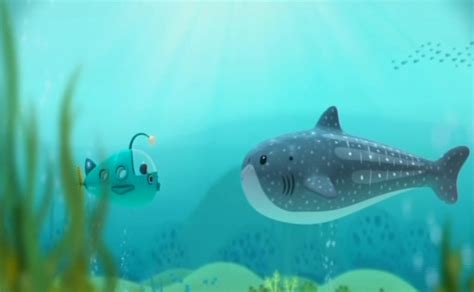 The Whale Shark | Octonauts Wiki | FANDOM powered by Wikia