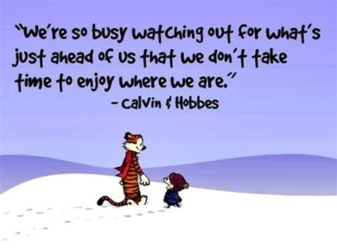 Calvin and Hobbes | Calvin and hobbes quotes, Inspirational quotes, Calvin and hobbes