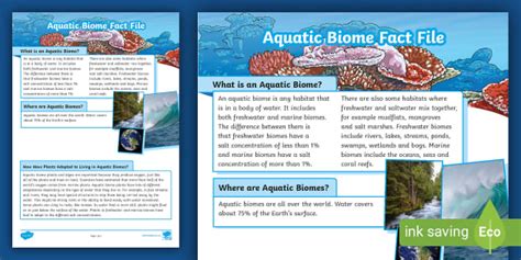 Aquatic Biome Fact File | Environments and Adaptations