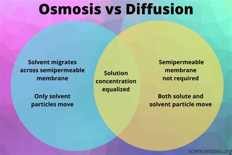 Osmosis vs Diffusion - Definition and Examples Plasma Membrane, Cell ...