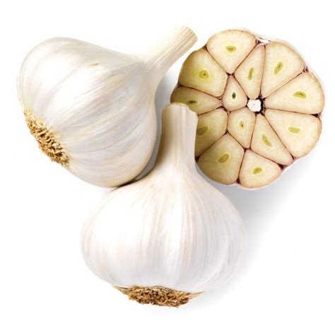 The dos and don'ts of how to cook with garlic - Chatelaine