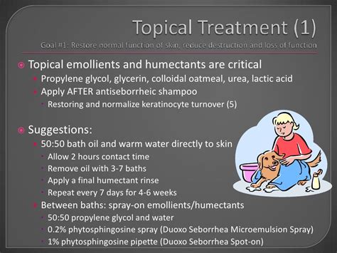 Sebaceous Adenitis