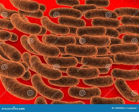 Rod Shaped Bacteria Stock Images - Image: 10909564