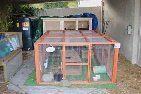 Rabbit Cage, Enclosures and Hutches Buying Guide