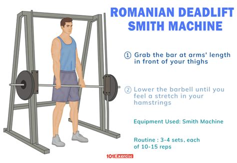 Romanian Deadlift on Smith Machine | 101Exercise.com