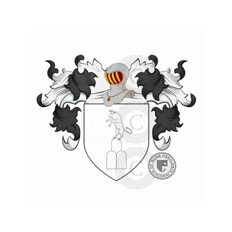 Santini family heraldry genealogy Coat of arms Santini