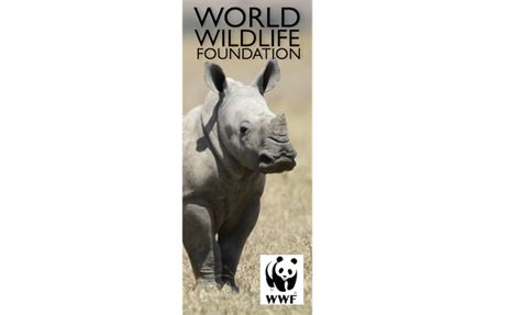 World Wildlife Fund Logo Png