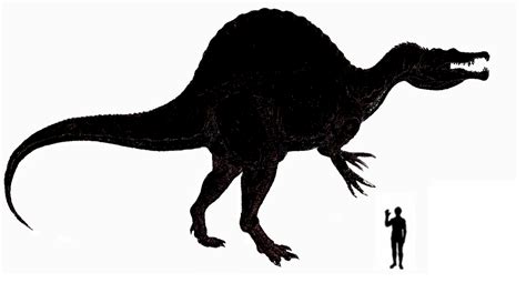 Illustration Of An Spinosaurus Vs Human Size Comparison - HooDoo Wallpaper