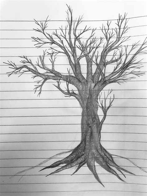 Simple Pencil Simple Tree Drawing Images - Perangkat Sekolah