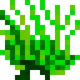 Coral (rooted) - Minetest Wiki