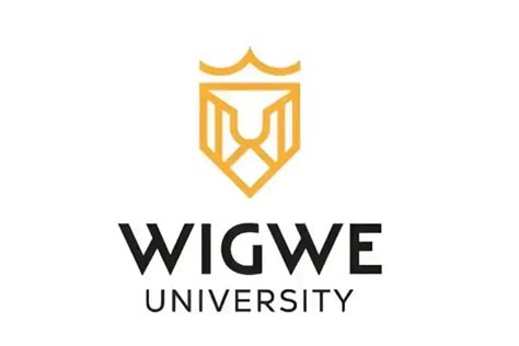 Wigwe University Debunks Issuing Admission Offers for 2023/2024