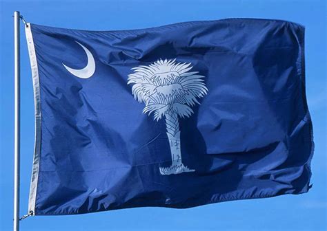 South Carolina State Flags - Nylon & Polyester - 2' x 3' to 5' x 8 ...