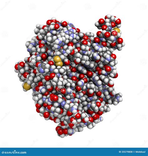 Recombinant DNase I DNA Cutting Enzyme (dornase Alfa) Stock ...