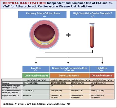 Atherosclerotic Cardiovascular Disease Risk Stratification Based on Measurements of Troponin and ...