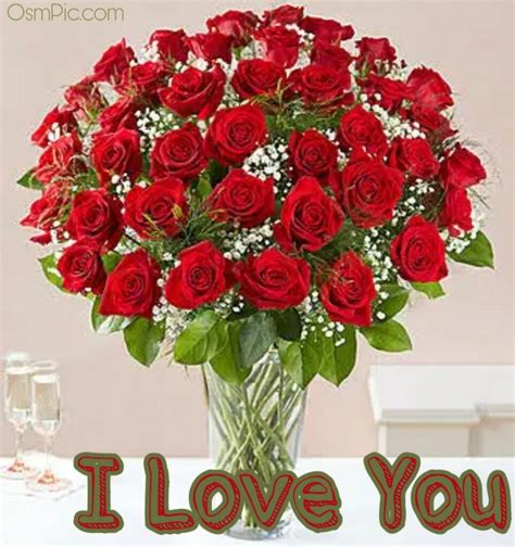 50 Most Beautiful I Love You Roses Images Pics Of Love Roses For Lovers