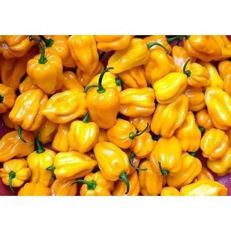 Fresh Yellow Chilli at Rs 200/kilogram(s) | Thambu Chetty Street | Chennai | ID: 10861366397