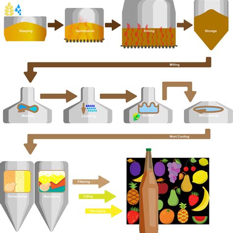 Major steps in the brewing process. | Download Scientific Diagram