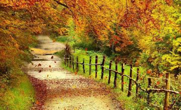 🔥 [0+] Wallpapers Autumn Scenery | WallpaperSafari