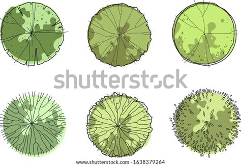 Architecture Sketch Green Trees Top View Stock Vector (Royalty Free ...
