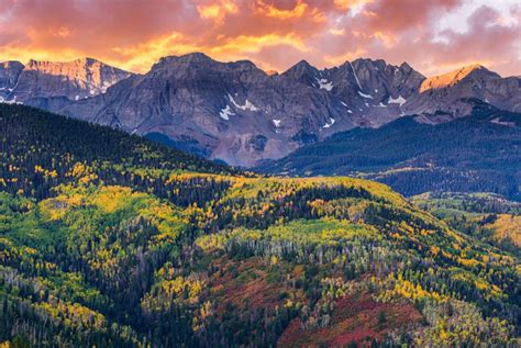 Colorado fall colors forecast 2023: Fall foliage map