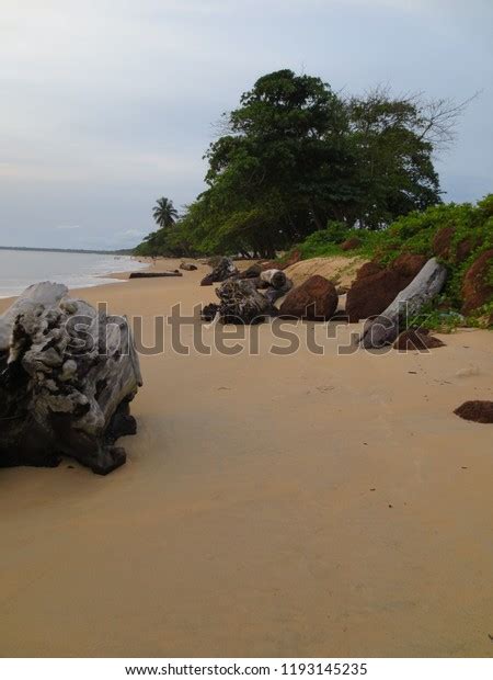 Beaches Libreville Gabon Stock Photo 1193145235 | Shutterstock