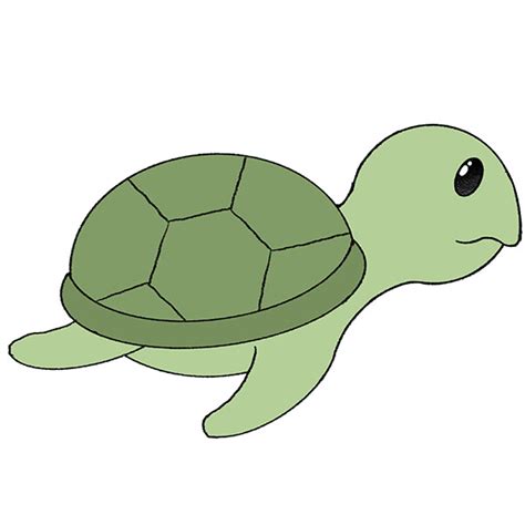 How to Draw a Turtle Step by Step - Easy Drawing Tutorial For Kids