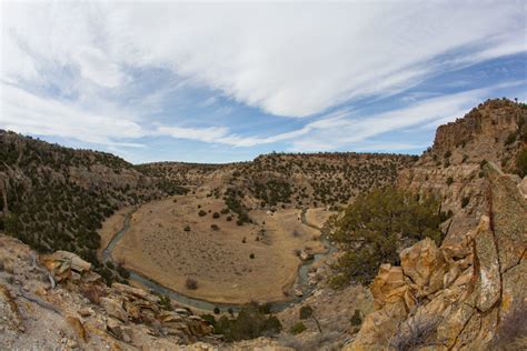 Wild Animal Sanctuary to Expand to S.east Colorado with the Refuge