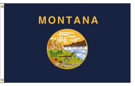 Montana 8ftx12ft Nylon State Flag 8x12 Made in USA 8'x12'