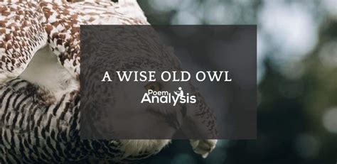 A Wise Old Owl (Nursery Rhyme) - Poem Analysis