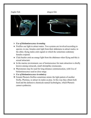 Bioluminescence ppt | PDF