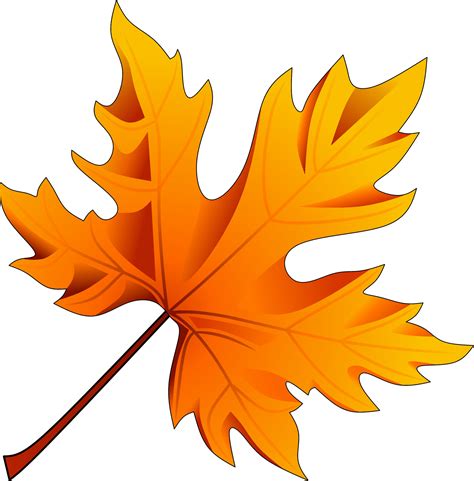 Autumn maple leaf vector illustration. Maple leaf vector for logo, icon ...