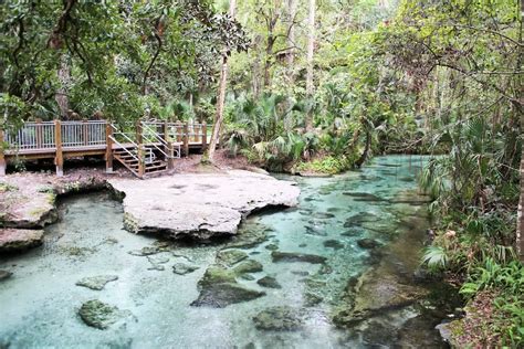 Rock Springs At Kelly Park: Beautiful Spring And Park – The Florida Guidebook