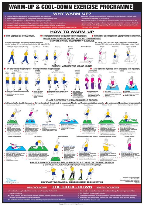 Warm Up And Cool Down Exercises Chart | lupon.gov.ph
