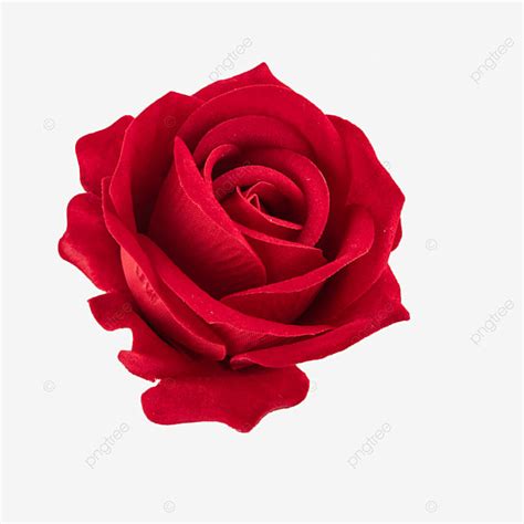 Rose Simulation Red Flower Arrangement, Rose Flower, Red, Flower Arrangement PNG Transparent ...
