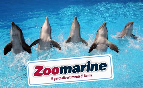 Zoomarine: comunicato stampa di chiusura stagione - Parksmania