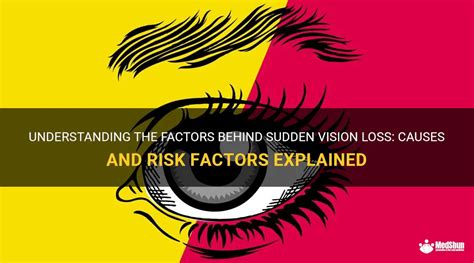 Understanding The Factors Behind Sudden Vision Loss: Causes And Risk Factors Explained | MedShun