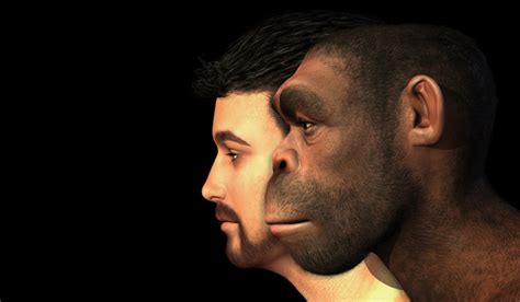 Human face evolved over time because of our need for social skills- The Week