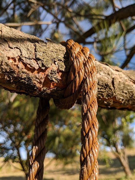 Tree Swings Diy, Wood Tree Swing, Diy Tree, Outdoor Swing, Diy Outdoor ...