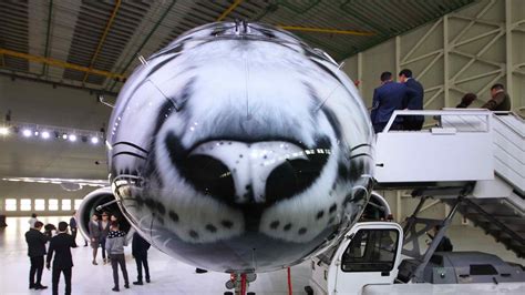 This Embraer E190-E2 looks like a snow leopard - CGTN