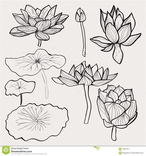 Colouring Pages Drawing at PaintingValley.com | Explore collection of ...